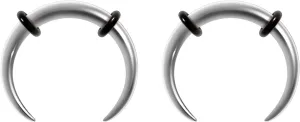 14G 16G 2Pcs Stainless Steel Pincher Septum Rings Tapers Ear Rings Crescent Tapers C Shape Buffalo Horseshoes Nose Rings O-Rings Hoops Body Piercing Jewelry Women Men
