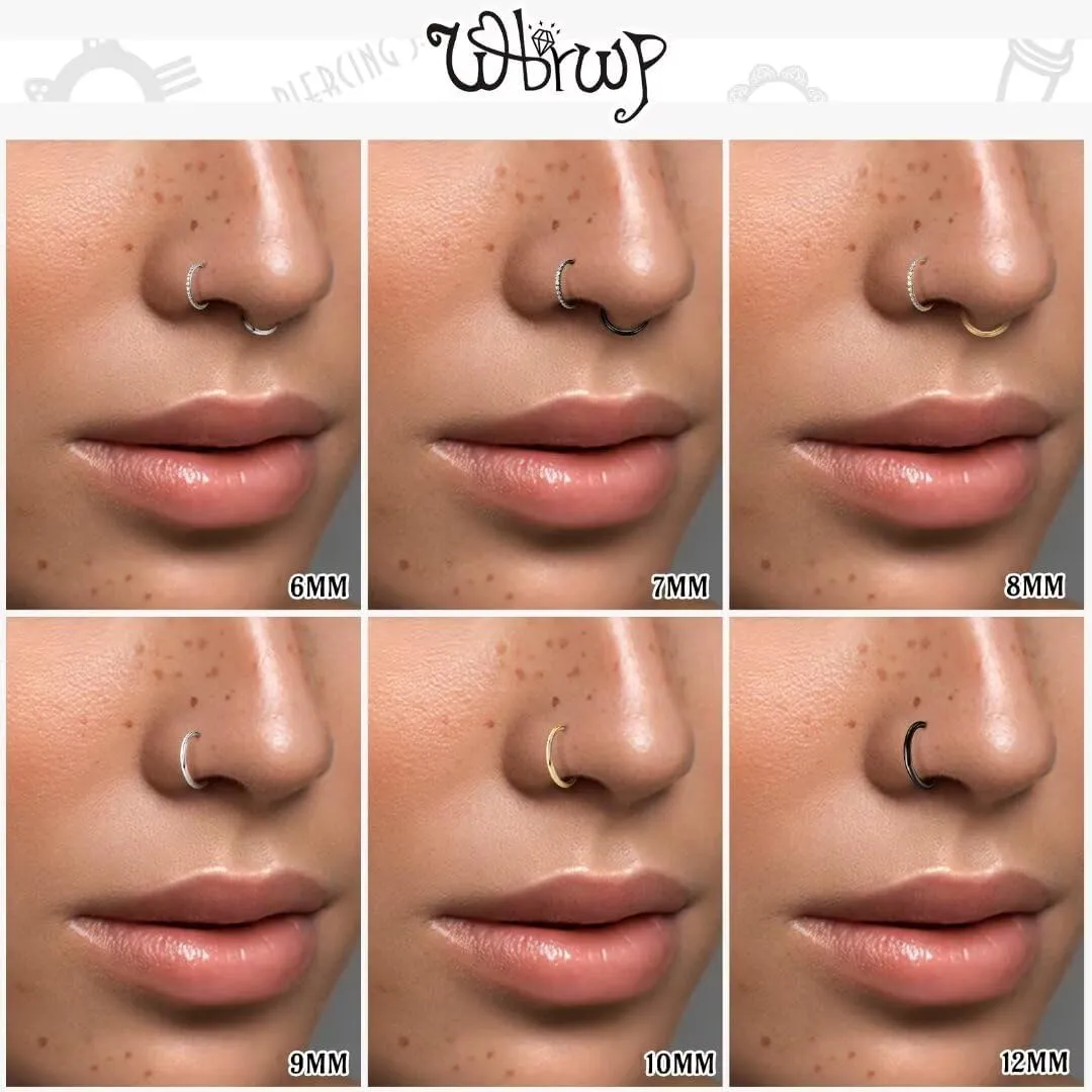 20G 18G 16G 14G Hinged Nose Rings Hoops: 2 Pcs Surgical Steel Seamless Twisted CZ Nose Rings Clicker for Septum Lip Piercing Cartilage Helix Tragus Conch Rook Daith Lobe Earrings 6mm 7mm 8mm 9mm 10mm 12mm Body Piercing Jewelry