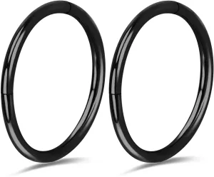 2Pcs Titanium Nose Rings 20G 18G 16G Nose Rings Hoops Septum Clicker Hinged Segment Ring Cartilage Helix Tragus Conch Daith Rook Nostril Hoop Piercing Earring, Diameter 5mm to 12mm Silver-Gold-Rose Gold-Black