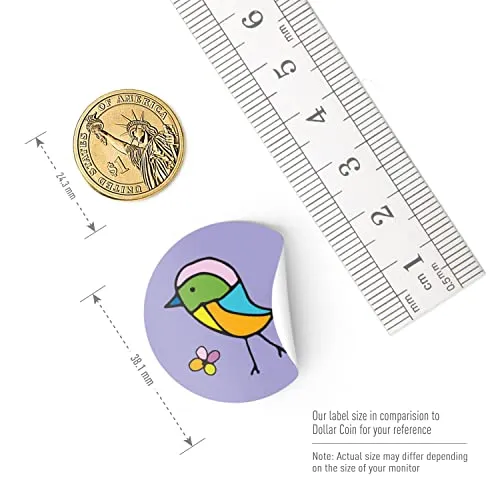 Cartoon Birds Stickers for Kids