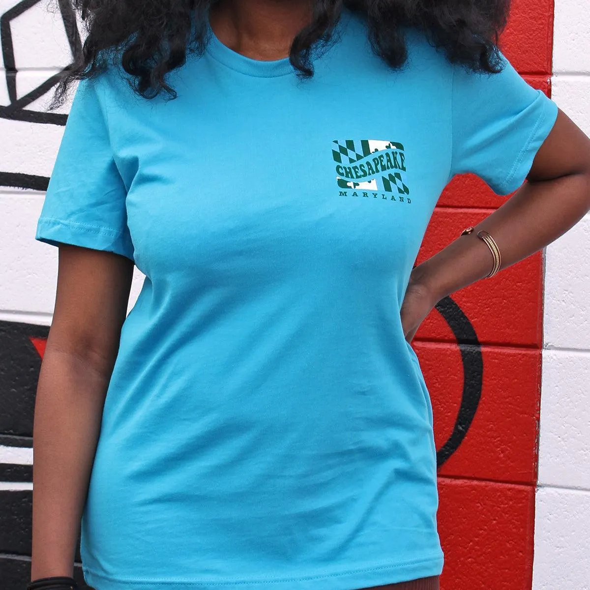Chesapeake Maryland (Aqua) / Shirt