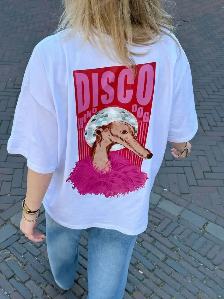 Disco Dog Zeevanverf
