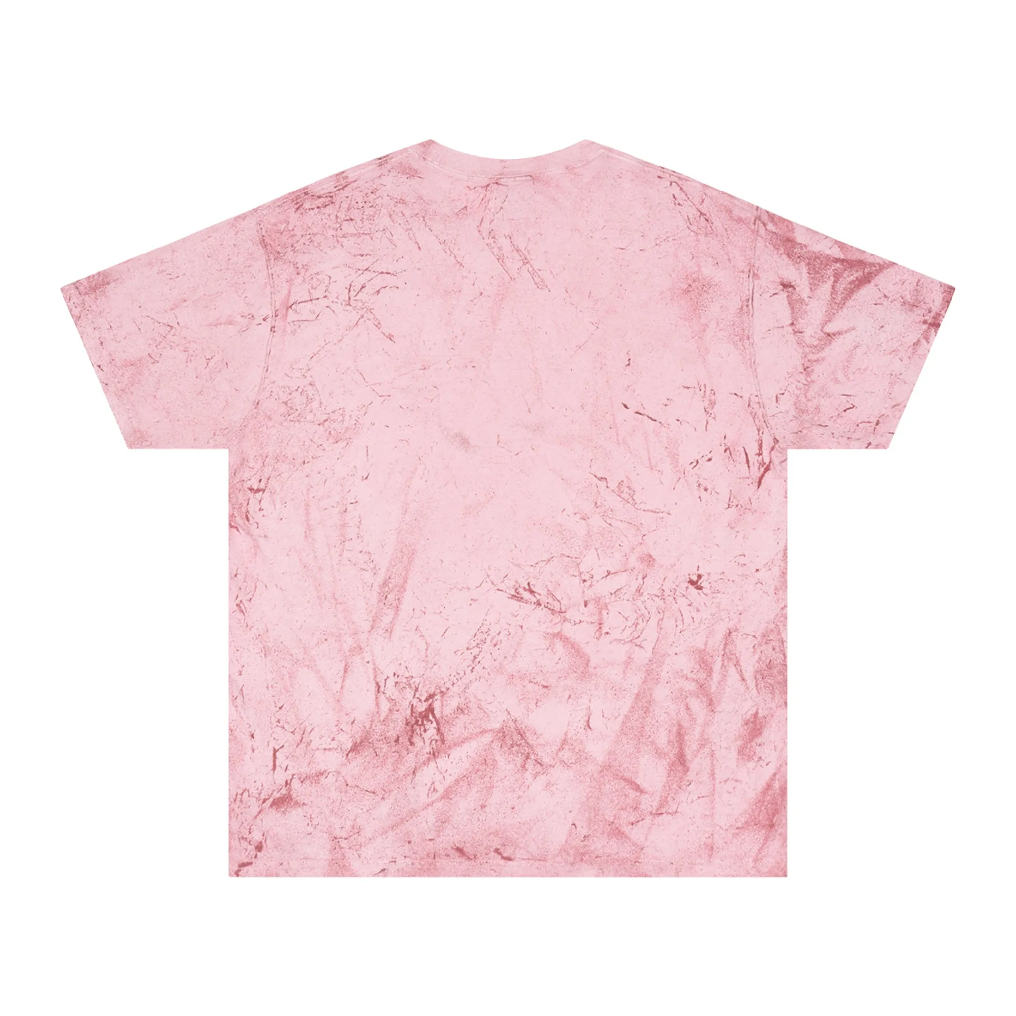 Earthtones Classic Logo - Color Blast T-Shirt