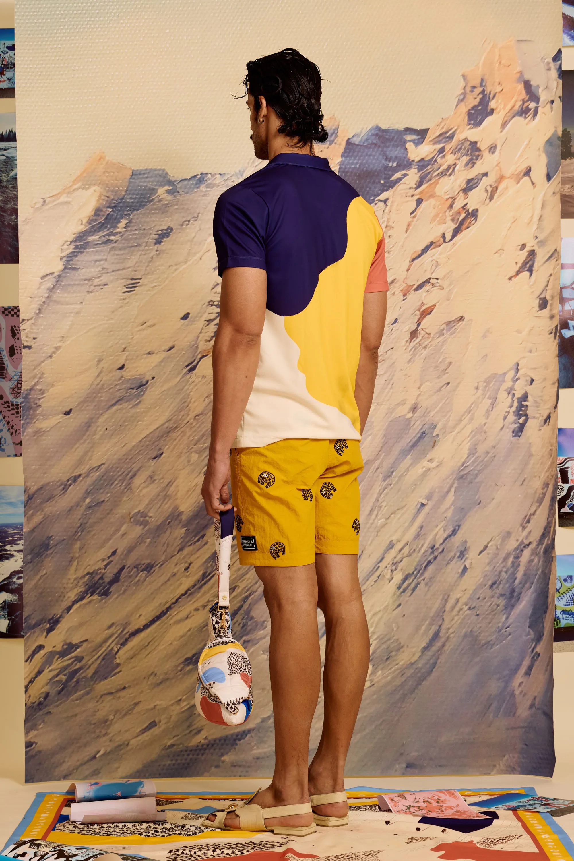 Levi Color Block Polo