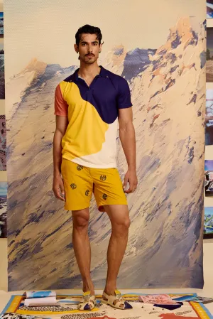 Levi Color Block Polo