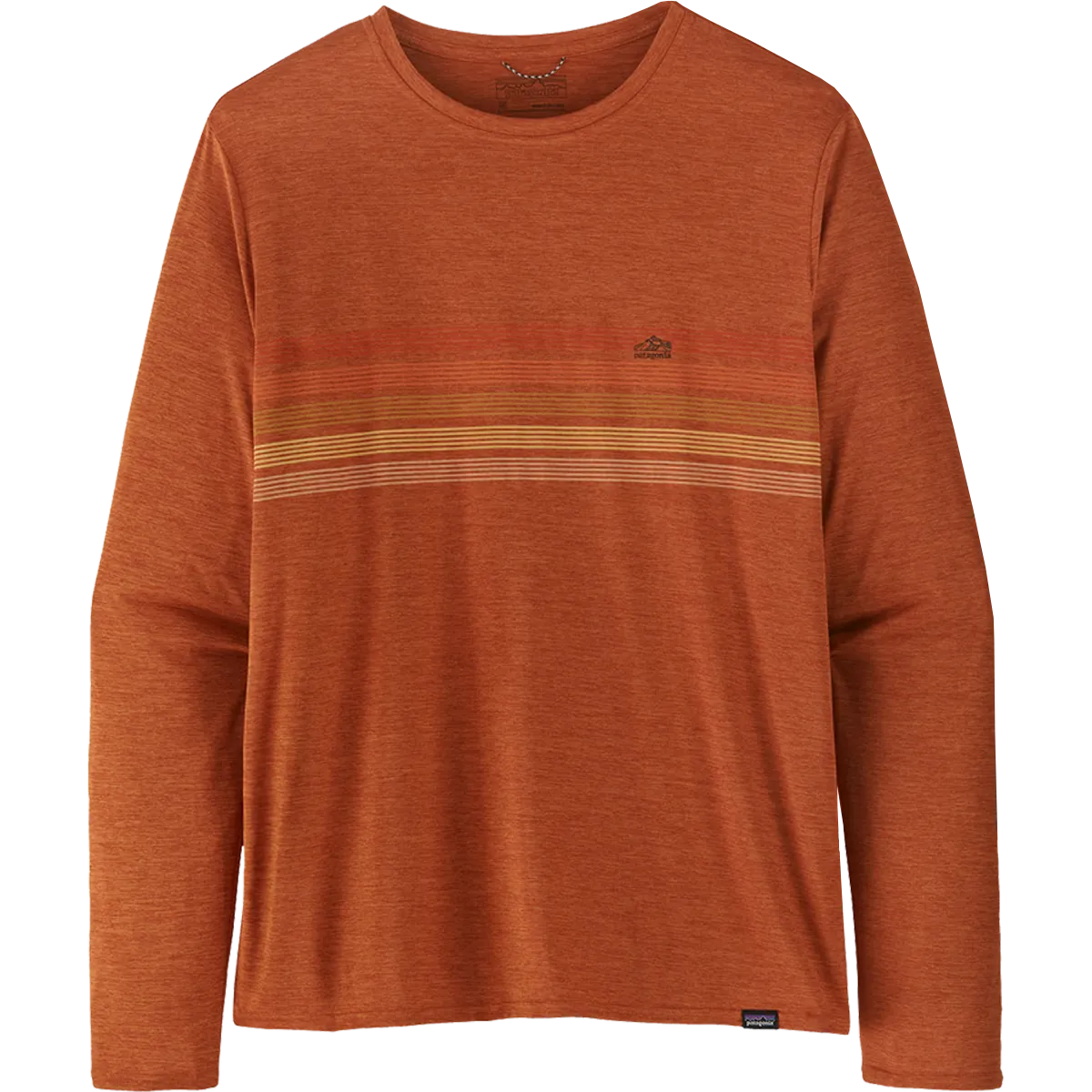 Men's Long Sleeve Capilene Cool Daily Graphic Shirt