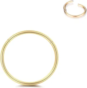 Xpircn 14G 16G 18G 20G 316l Surgical Steel Hinged Nose Rings Hoop Lip Septum Rings Helix Cartilage Rook Earrings Hinged Segment Ring Piercing Jewelry (Gold, 16g 6mm, 1PC)