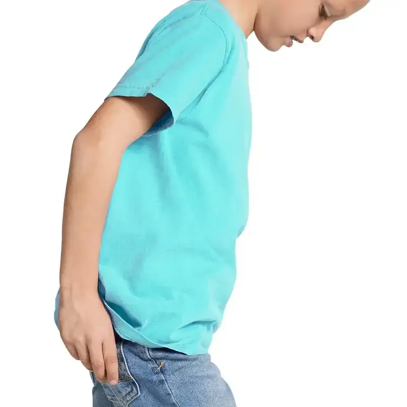 Youth Comfort Colours Short Sleeve Tee