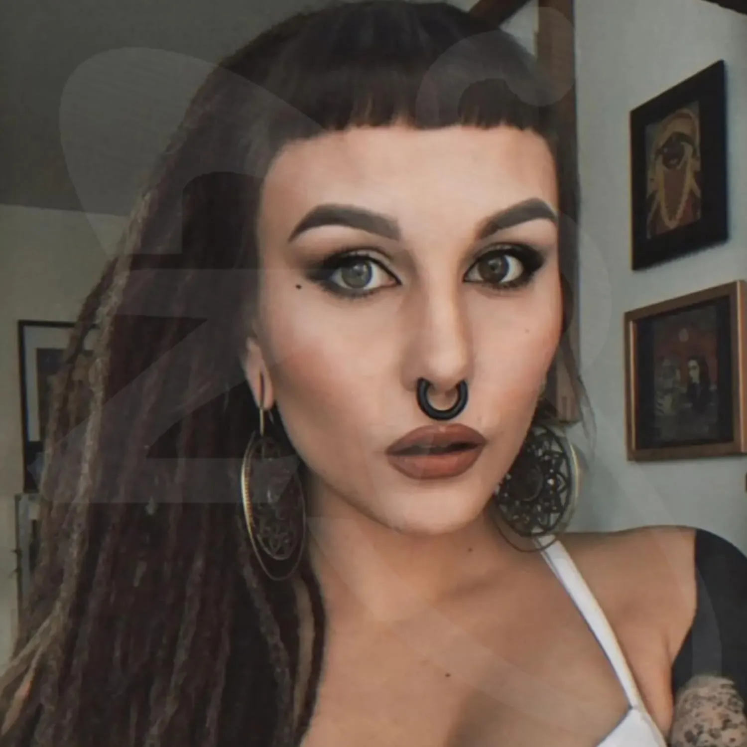 ZS Hinged Segment Clicker PA Ring Spring Action BCR Rings, 2G 4G 6G 8G 10G 12G Black Septum Nose Rings, Surgical Steel Pierced Body Jewelry for Men Women